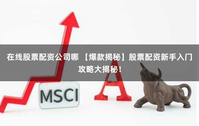 在线股票配资公司哪 【爆款揭秘】股票配资新手入门攻略大揭秘！