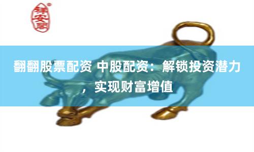 翻翻股票配资 中股配资：解锁投资潜力，实现财富增值
