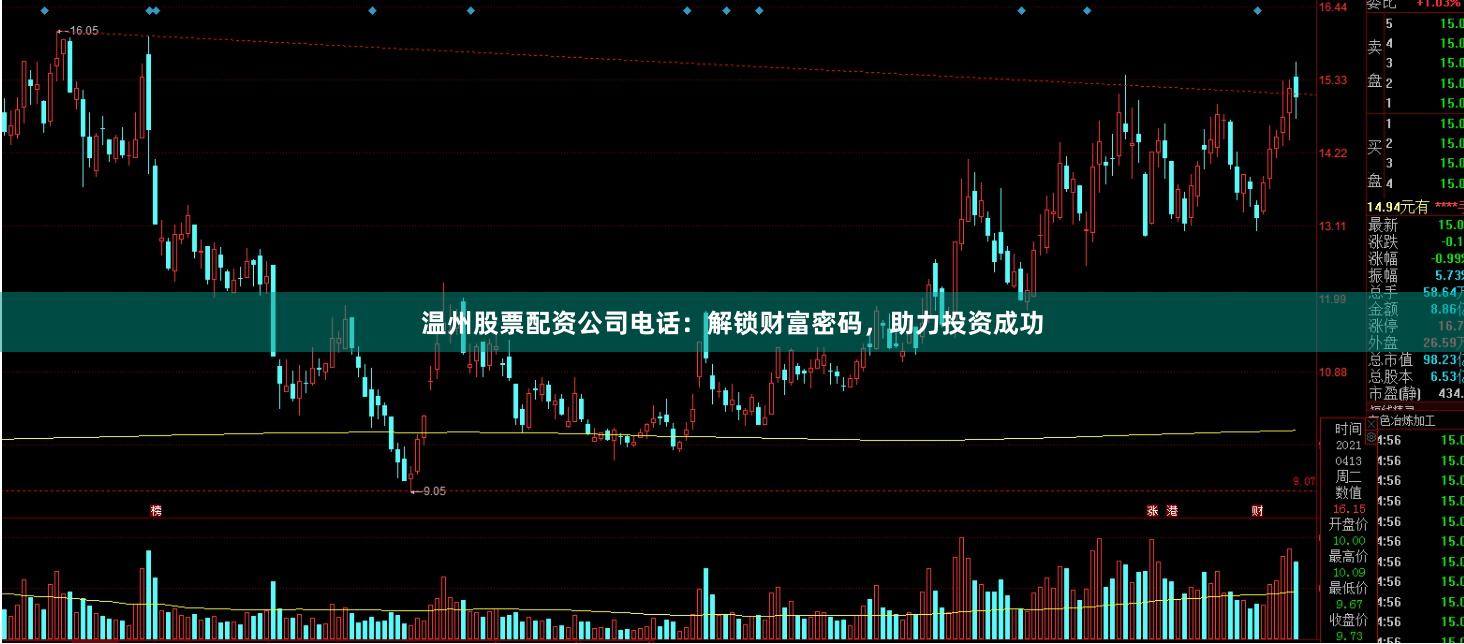 温州股票配资公司电话：解锁财富密码，助力投资成功