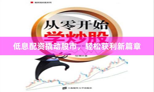 低息配资撬动股市，轻松获利新篇章
