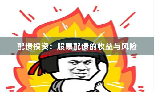 配债投资：股票配债的收益与风险